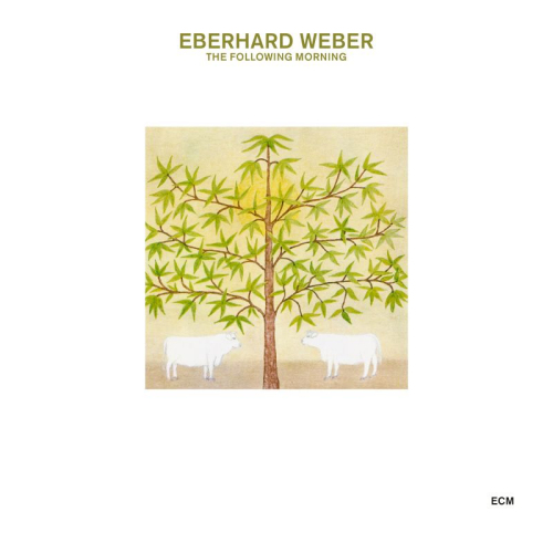 WEBER, EBERHARD - THE FOLLOWING MORNINGWEBER, EBERHARD - THE FOLLOWING MORNING.jpg